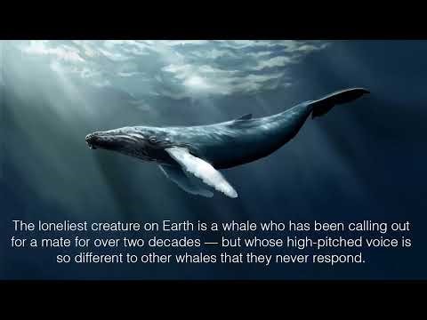 Weird But True: 20 Incredibly Weird Facts You Won’t Believe 🤯