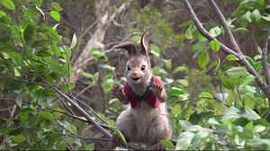 Peter Rabbit - Peter Rabbit: Margot Robbie As 'Flopsy' (Vignette)