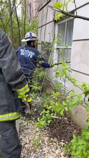 44K views · 2.2K reactions | The Spaghetti Turn At some point...