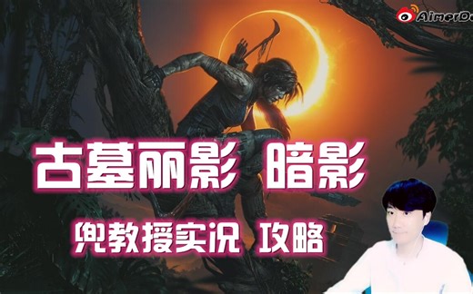 古墓丽影 暗影 攻略全集 完结