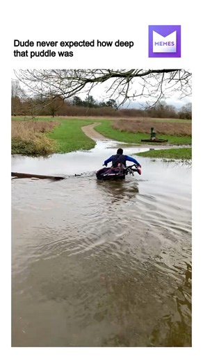 97K views · 456 reactions | Dude never expected how deep that puddle was | Memes | Facebook
