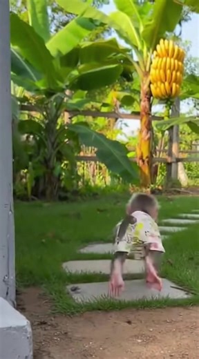 Nana's Adventure: Climbing a Tree for Bananas