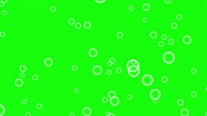 Download Animated Flying soap bubbles motion graphics with green screen background for free