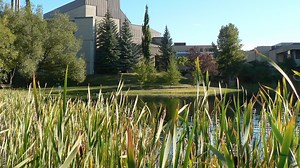 Mount Royal University 的7项排名 2025