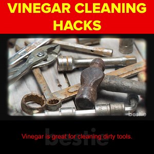 5.5K views · 133 reactions | 9 Vinegar Cleaning Hacks For Your Home #VinegarCleaningHacks #CleaningTips #Bestie Sources: https://pastebin.com/yX4Htg9k | Bestie | Facebook