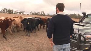 LOCAL LAND SERVICES WANT LANDHOLDERS AND PRODUCERS - NBN News