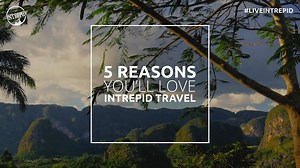 915 reactions · 252 shares | Here’s one more reason to travel with Intrepid: for a limited time you can lock in a trip for $1. | Intrepid Travel | Facebook