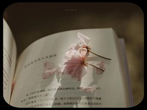 Younha (feat. RM) - Winter Flower Lyrics | RM Winter Flower Rap