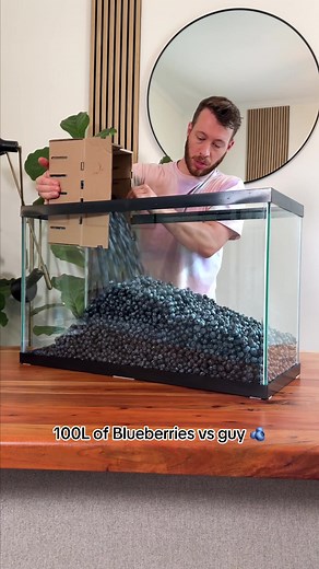 Blueberries Challenge: Guy Eats 100L of Blueberries! 🫐