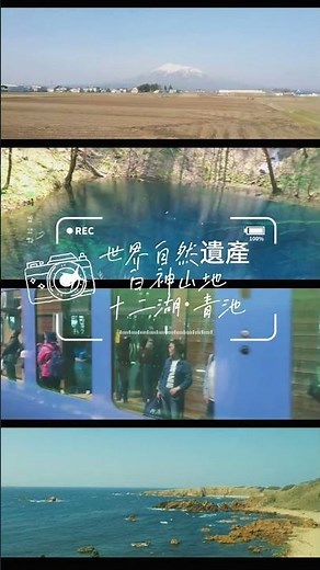世界自然遺產白神山地十二湖·青池 #japantravel #青森 #travel