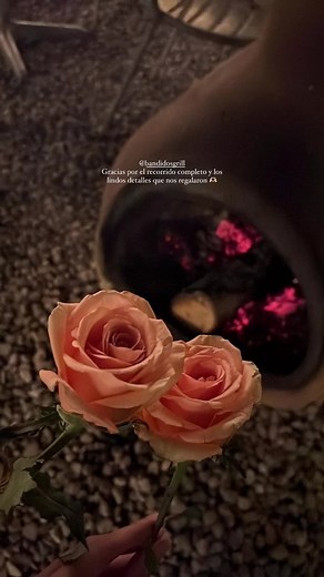 🔥❤️‍🔥Momentos memorables ❤️‍🔥🔥 #flypシ #comida #cena #outside #parati #grill #lap #mexico🇲🇽 #vacaciones #viral #bandidos #paraisos #lugaresencantadores #lapazbcs #lapazbcsmexico🌵🇲🇽 #hamburguesas #elcomitanbcs #dunasmogote #canamoffroad #comitan #vanlife #bajavanlife #vanbaja