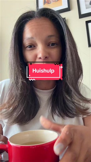 Huishulp in Nederland R860: Saffa Huishulp Diensten