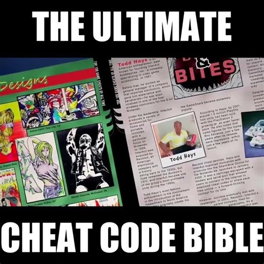 GameShark Codes Book + 500 In Vault