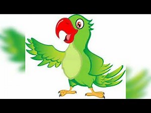 Parrot Sound Effects