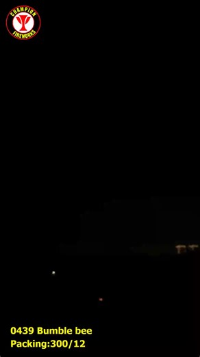 0439 bumble bee#fireworks #fireworksfactory