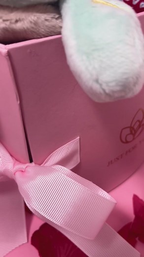 Valentine's Day Themed Baby Leo Plush - Rise of the Teenage Mutant Ninja Turtles