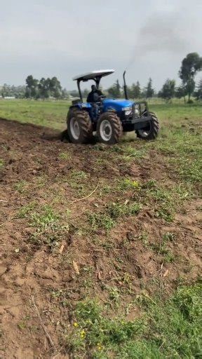 A Quick Recap. Hapa ni North Singapore😂 | AIM Agriculture