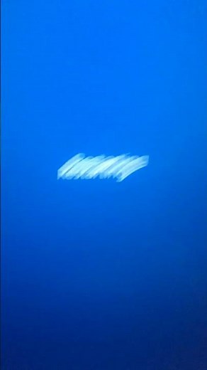 Update and shutdown restarted my computer...