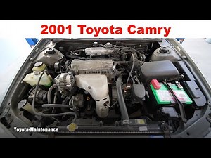 Toyota Camry Engine Oil Consumption?