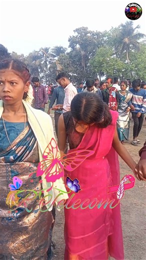 Santali program function #dancevideo short function video 2026