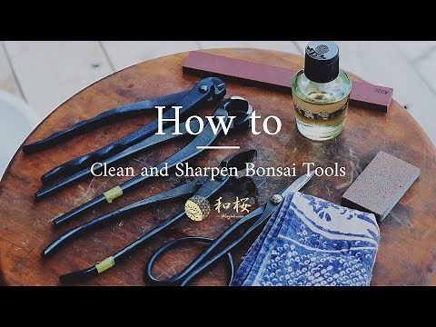 Bonsai Tool Maintenance: How do you clean and sharpen Bonsai Tools? || Wazakura Japan
