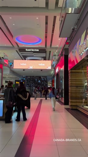 The tallest Christmas tree in Canada 🍁 🇨🇦 (114-feet) | Canada Brands
