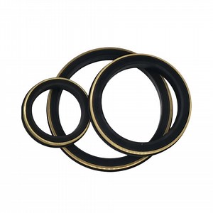 [Hot Item] Weco Fig 602/1002/1502 1" to 7" Hammer Union Seals for Oilfield