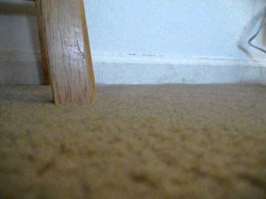 Getting Pokéwalker Steps/Watts the Easiest Way by Far