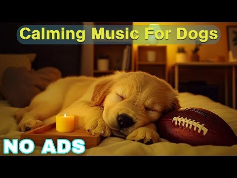 12 Hours Dog Healing Music ❤️ Relaxation Music for Dogs 🎵 Calming Dog Sleep 🐾Dog Music To Calm Them