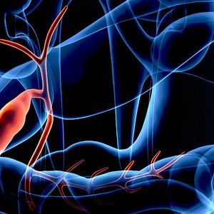 How Long Can you Live with a Ruptured Gallbladder? 7 facts. - Oh My Gut