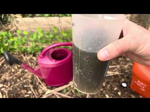 3 natural fertilizers to use in the vegetable garden