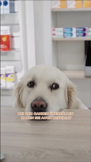 LETZTER POST erstmal...