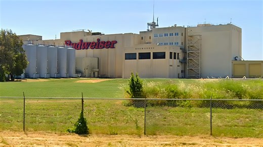 $54M loss forces Budweiser shutdown—last Bay Area brewery permanently closes