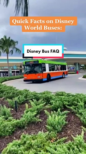 Disney World Bus System: Quick Facts and FAQs