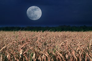Full September harvest moon to shine as first day of fall 2021 looms