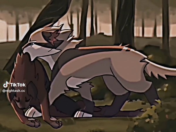 Longtail Warrior Cats Editing - A Warriors Tail