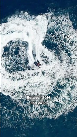 Noise, the invisible pollutant threatening marine life, explained #ocean