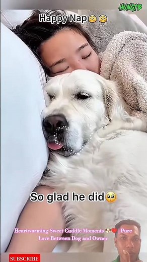 Heartwarming Sweet Cuddle Moments 🐶❤️ | Pure Love Between Dog and Owner #dog #cutedog