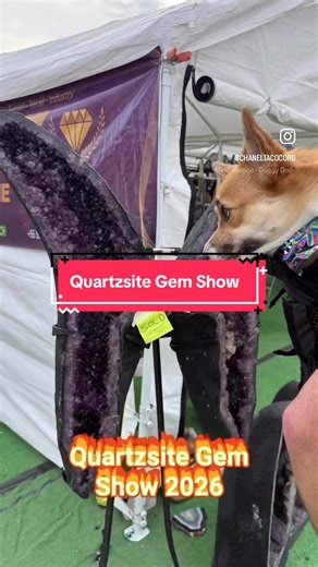 Explore the Quartzsite Gem and Mineral Show