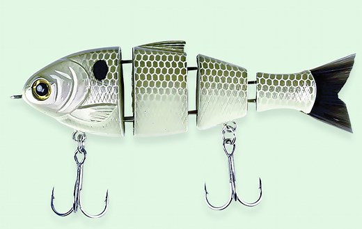 Explore Your Passion | Catch Co