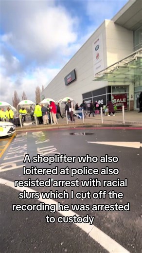 Police Apprehend Shoplifter in Mall Incident