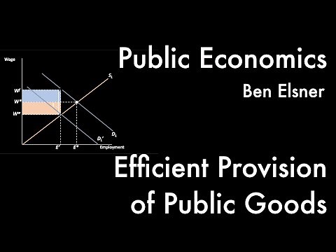 Efficient Provision of Public Goods -- Public Economics II, 6/10