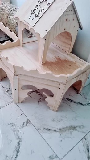 🤍✨️🦋#daisy #robo #fun #cute #cuteanimals #bunny #hollandlop #cutepets #brownbunnys #whitebunnysquad🐰🤍 #bunnys