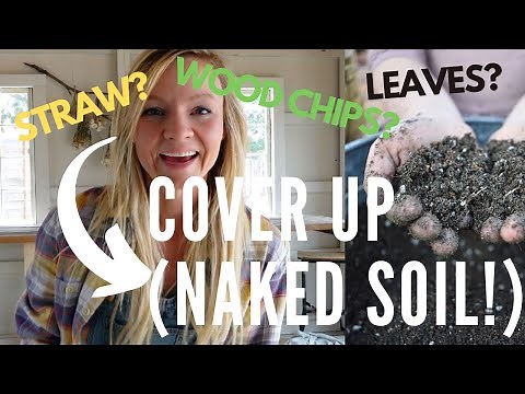 My favorite mulches for the garden RANKED! (And why we don’t use landscape fabric anymore!)