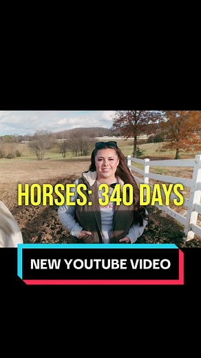 Farm Animals Pregnancy: How Long Are Horses Pregnant for?
