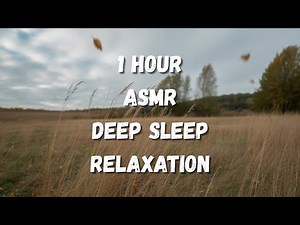 1 Hour Gentle Wind in Open Field 🍂 | Calming Nature Sounds for Relaxation, Sleep & Meditation