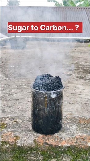 Reaction of Sugar and Sulphuric acid #dehydration reaction #shorts #science experiment