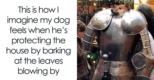 50 Truthful Memes About What It’s Like To Have A Dog