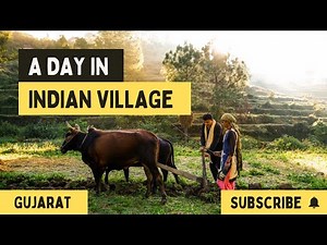 I Lived in a Village for Community Immersion | Here’s What I Learned | Gandhi Fellowship 2025