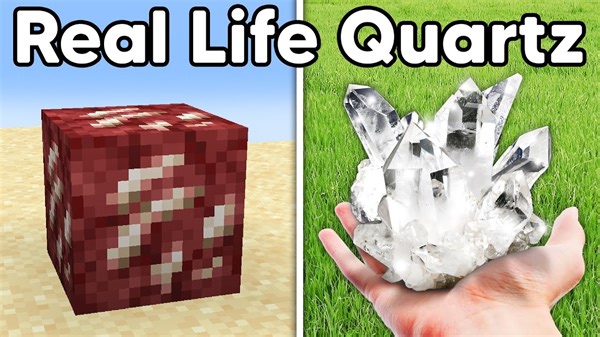 I Collected EVERY Block in Minecraft, in REAL LIFE! #Firelight #Minecraft #gaming | Firelight Gaming